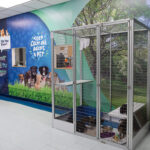 Mon County Canine Adoption Center new cat cages and wall art